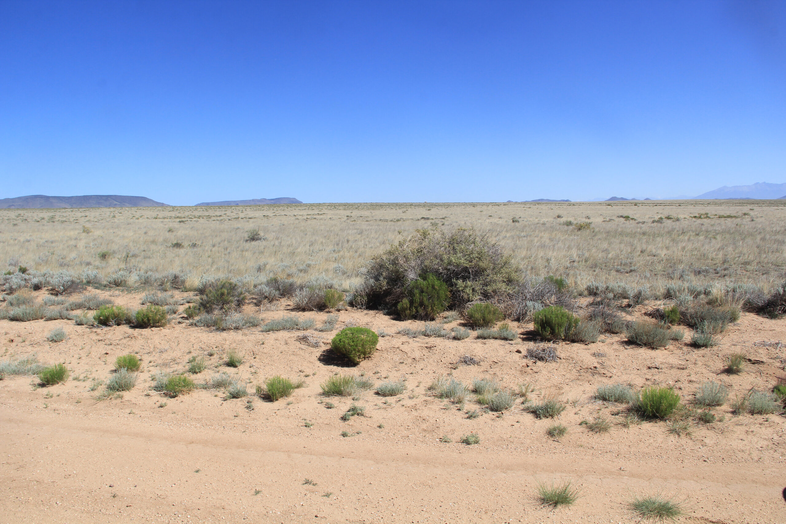 Satellite-View-Affordable-Colorado Land-Costilla County -Close-to-Almosa-Close-to-Cañon-City
