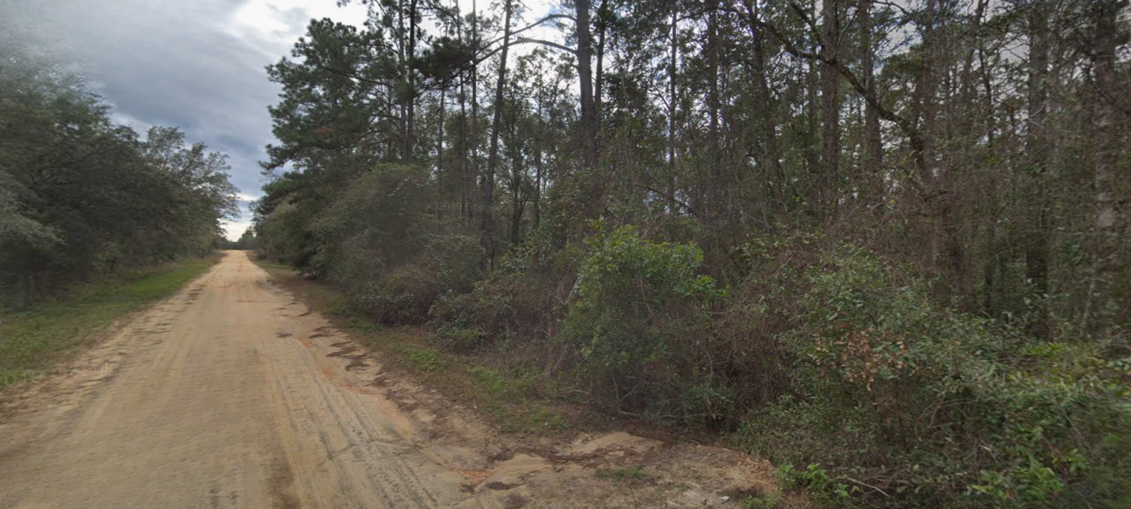 Roadside-view-Affordable-Florida-land